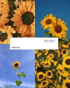 流行りの