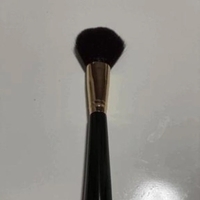 伝家の宝刀