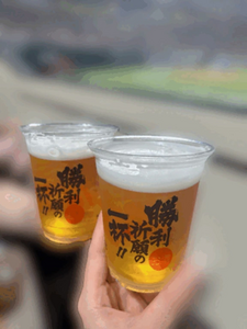 女神にはなれず