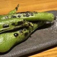 撮影日