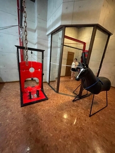 🐱本格的すぎ？？