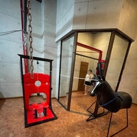 🐱本格的すぎ？？