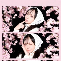 🐱しばらくドロン👻