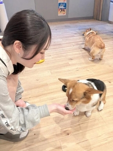 🐱得意だよ!!👌✨