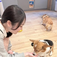 🐱得意だよ！！👌✨