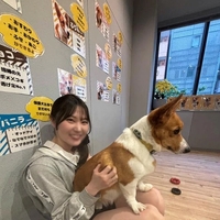 🐱甘く見んな！！