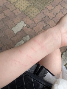 🐱幸せの代償💔