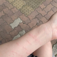 🐱幸せの代償💔