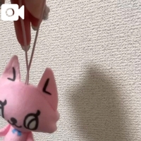 🐱宇宙人👽