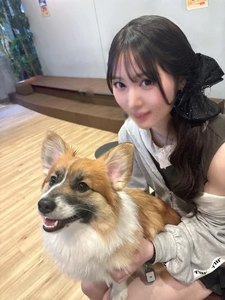 🐱本格的🍣