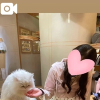 🐱楽すぎてしまいまして😇