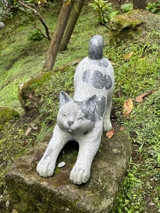 向かってます‼︎