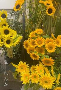 元気わけちゃう💜