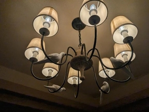 飲まれて良いのは快感だけ✨