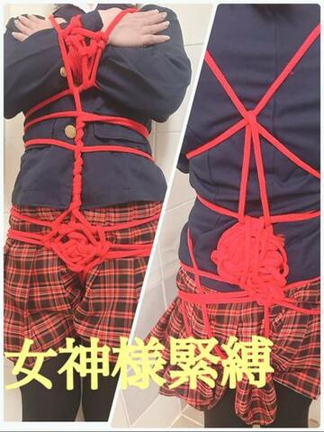 女神シリーズ作ります♪