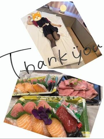 餌付けられた牝犬