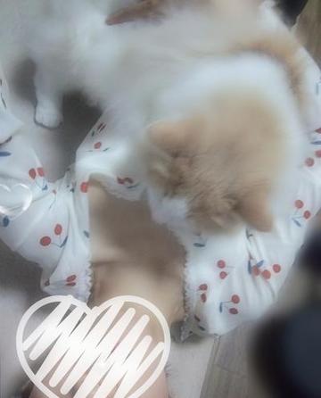 かりなです☆