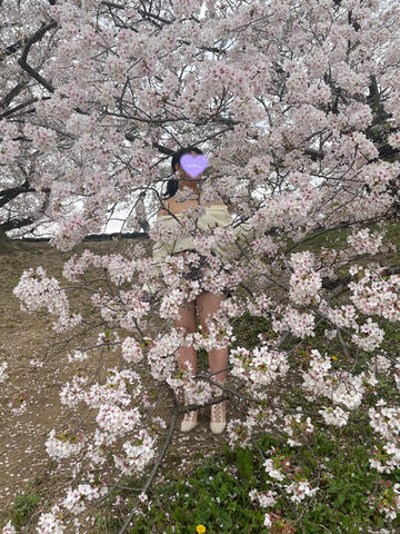 調教お願いします