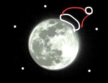 ご調教ありがとうございました