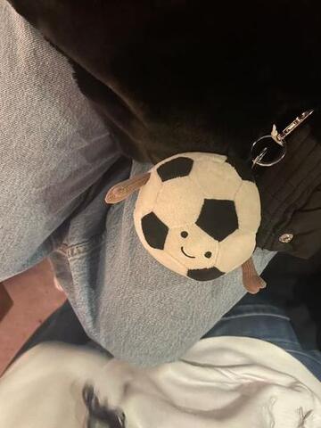 今日は日本vsチュニジア！