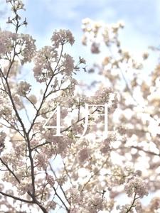 しがつ。