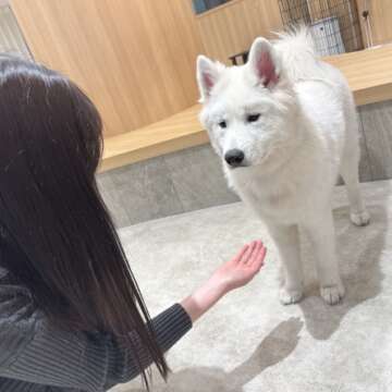 はい、お手🐶