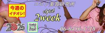 ●[今週のイチオシ]●