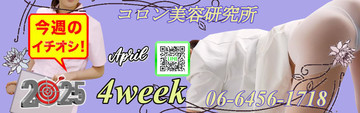 ●[今週のイチオシ]●
