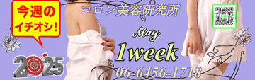●[今週のイチオシ]●