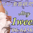 ●[今週のイチオシ]●