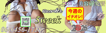 ●[今週のイチオシ]●