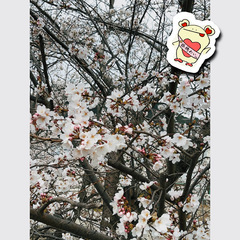 春の体温。