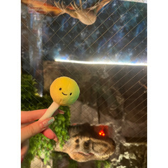 にっこり。