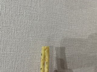 しゃがりこ