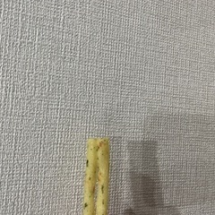 しゃがりこ