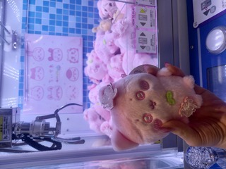 げっちゅ