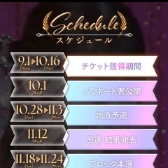 ミスヘブン出場します！