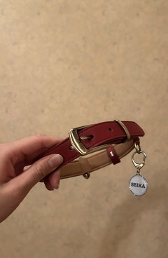 ご主人様の専属ペット