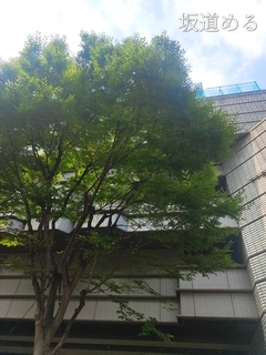 夏開始 ~2025~