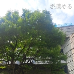夏開始 ~2025~