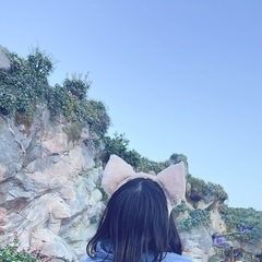 お久しぶりです