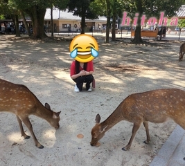 奈良公園