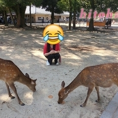 奈良公園