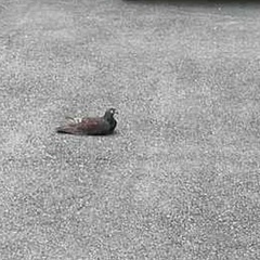 休憩中ですか？