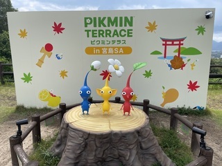 ご対面