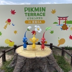 ご対面