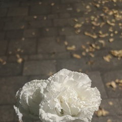 出勤しました！