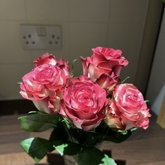 出勤いたしました