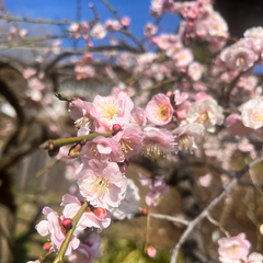 出勤しました！