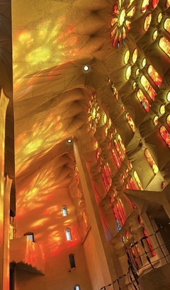 帰国しました！